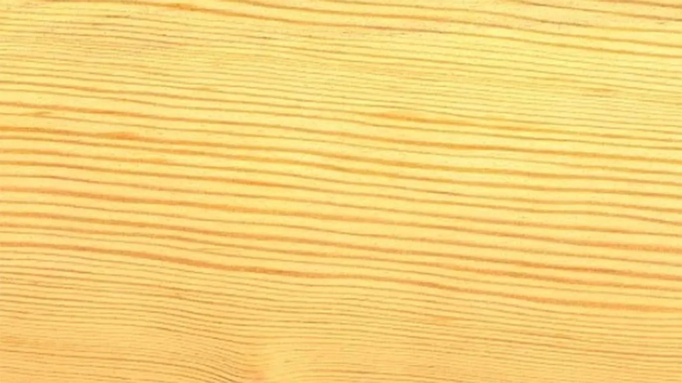Pino